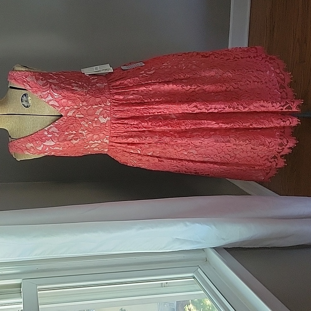 Eliza J Lace midi dress